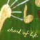 Lovesong II
